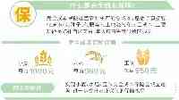 減輕種糧負擔“旱澇保收”不難我省為小麥水稻玉米上“全險”