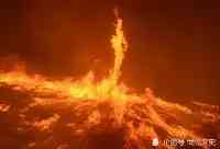 新疆火灾從1874年開始燒了129年，每年損失1.7億，撲滅後驚豔世人