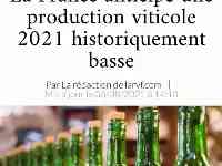 2021年法國葡萄酒產量預計將創歷史新低