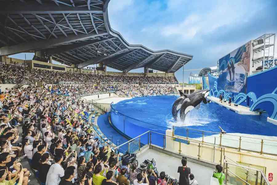 國慶黃金周假期，上海海昌海洋公園推出系列演出活動，為遊客帶來別致體驗.jpeg