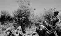 1958年，浙江老農耕田，意外發現一響尾蛇飛彈，蘇聯索要被拒絕