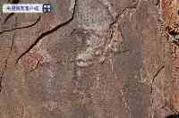青海玉樹通天河中上游地區首次發現古岩畫遺存