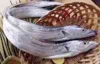 海南帶魚產地在哪？和舟山帶魚的區別是什麼？