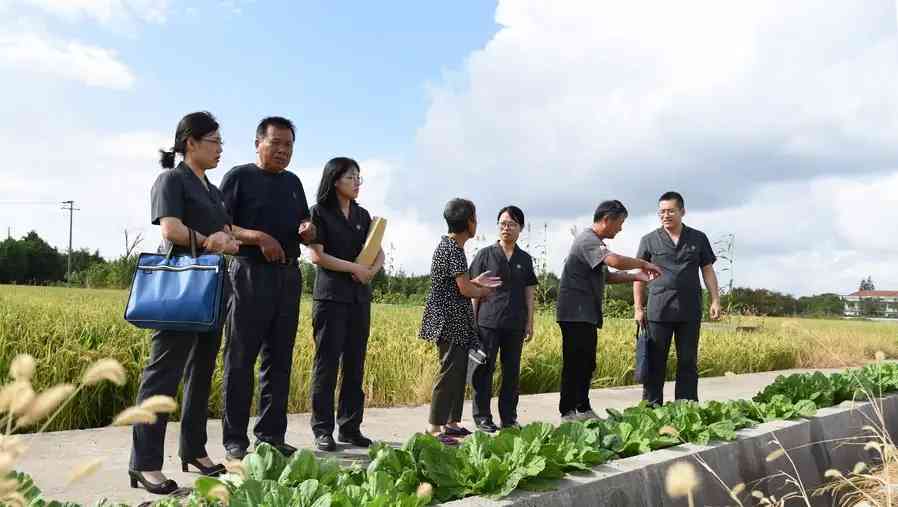 崇明法院環境資源案件審判團隊成員現場走訪。崇明法院供圖.jpeg