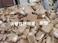 河南鄭州：一夫妻在網上購買1萬塊紅磚，忙壞快遞小哥：每天都在搬