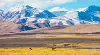 青藏高原地勢高聳，被譽為中國的天然屏障，對中國有何影響？