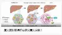 廈大團隊取得肝癌研究重大突破！但有個讓人心痛的消息……