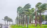 颱風“獅子山”在瓊海潭門鎮沿海登入