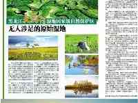 【黑龍江林業報】“無人涉足”的原始濕地——大沾河
