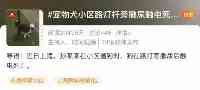 上海一寵物犬路燈旁撒尿觸電死亡，主人索賠5萬元；最新進展