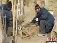 《自然》最新論文：中國新疆青銅時代先民遺骸屬本地人群遺傳