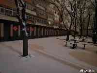 雪景照片來了！北京出現雨雪天氣，最低氣溫零下1℃