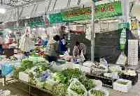 銀川市民：菠菜為什麼貴？菜價降了為什麼感覺不到？你想知道的全在這裡！