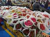 我在雲南昆明賣鮮花：日銷萬枝，一年收入3000萬