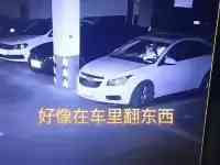 兩“熊少年”淩晨偷車出去溜達，車主查看監控後：已報警