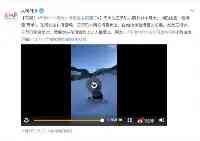 11個月大的滑雪寶寶萌翻了網友：這水准我自愧不如