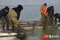 “拆網行動”强拆了洪澤湖1950畝水面上的非法養殖圍網