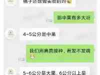 為國家出點力！大學生和蜜橘商家的聊天記錄火了