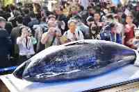 多圖！進上海的最大一條藍鰭金槍魚今天“開刀”！光解剖就要近3個小時！