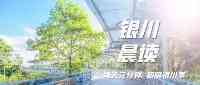 晨讀丨最新、最火的銀川事，都在這（6月21日）