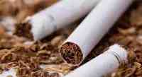 小縣城造假烟20年銷量上千億，佔據歐美80%市場，最終結果如何？