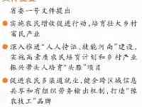 農民如何持續增收——“一號文件中的任務清單”系列解讀報導之二