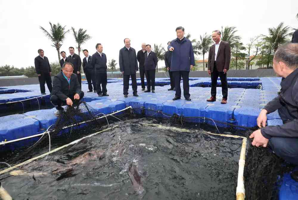 10日上午，習近平在位於湛江市東海島的國家863計畫項目海水養殖種子工程南方基地考察.jpeg