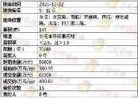 眉山主城4宗肥地滿貫拍出，吸金13.59億元