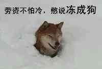 -15℃！今冬以來最冷！｜遼嬸兒聊天