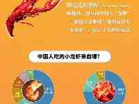 中國哪裡的小龍蝦最好吃？