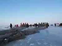 查幹湖冬捕第一天，四張網共計出魚69000斤