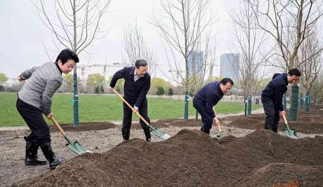 陳吉寧、龔正、黃莉新、胡文容等市領導在寶山區南大智慧城中央公園參加全民義務植樹活動。陳正寶攝.jpeg