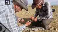 藏北高原新發現多處細石器地點