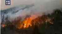 西藏林芝發生山火火勢迅猛救援正在進行中