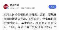 相當可怕的飛蛾，河北23地已經出現，為何它讓專家如此擔憂？