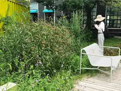 上海玻璃博物館野趣十足，非必要情况下不對野花野草進行任何干預。.jpeg