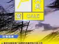 河南省氣象臺發佈大風黃色預警，涉焦作、鄭州、洛陽等地