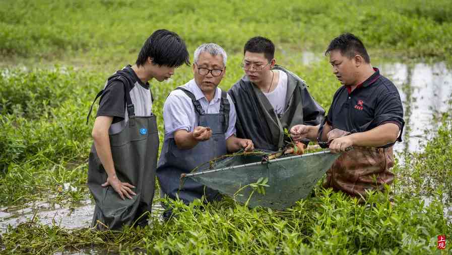 圖為成永旭教授（左二）與吳仁福（右一）查看蟹苗成長情况，為學生們講解如何分辨蟹苗質量.jpeg