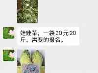 一比特襄城居民的封控日記（三）：“娃娃菜”的儀式感永不過時