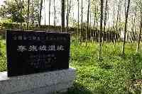 1973年，秦都雍城遺址出土64件“謎”樣青銅器，它們竟有重要作用